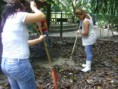 /album/galeria-de-fotos%3a-comiss%c3%a3o-geas-participa-de-a%c3%a7%c3%a3o-de-enriquecimento-ambiental-no-bosque-rodrigues-alves/dsc05146-jpg/