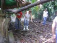 /album/galeria-de-fotos%3a-comiss%c3%a3o-geas-participa-de-a%c3%a7%c3%a3o-de-enriquecimento-ambiental-no-bosque-rodrigues-alves/dsc05147-jpg1/